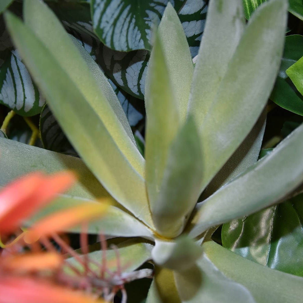 Aloe Vera Kunstplant 30cm rood