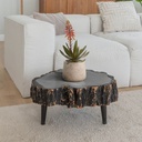 Aloe Vera Kunstplant 30cm rood