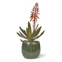 Aloe Vera Kunstplant 30cm rood