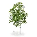 Ming Aralia kunststof tak 50cm - groen - UV bestendig