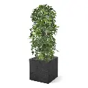 Schefflera kolom kunstboom 120cm - UV bestendig