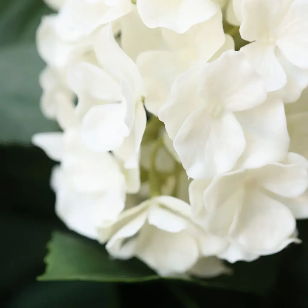 Hortensia UV Kunstplant Deluxe Creme 65cm