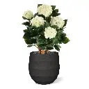 Hortensia UV Kunstplant Deluxe Creme 65cm