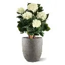 Hortensia UV Kunstplant Deluxe Creme 65cm