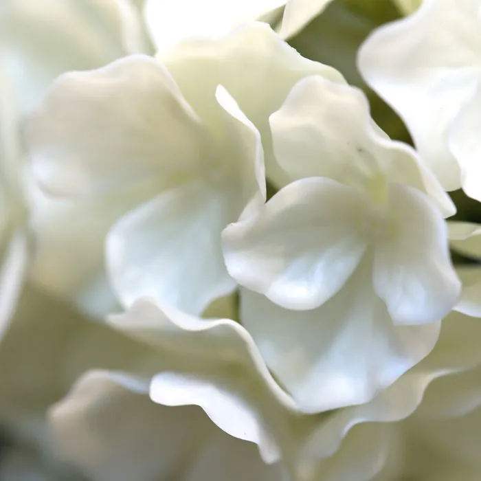 Hortensia UV Kunstplant Deluxe 80cm Creme