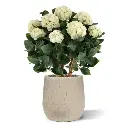 Hortensia UV Kunstplant Deluxe 80cm Creme