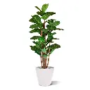 Lyrata deluxe kunstboom 165cm 
