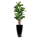 Lyrata deluxe kunstboom 165cm 