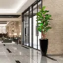 Lyrata deluxe kunstboom 165cm 