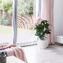 Medinella deluxe kunstplant 100cm