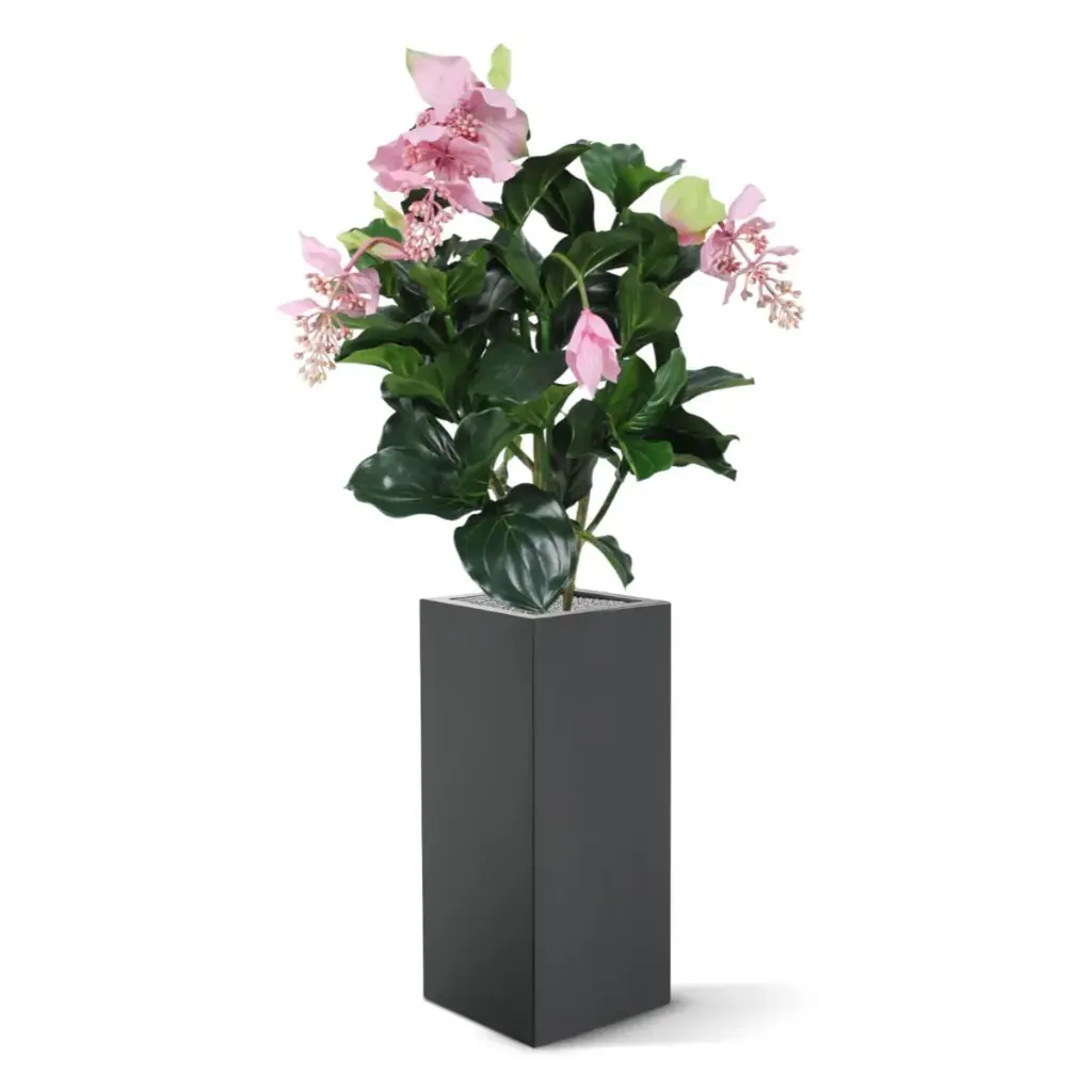 Medinella deluxe kunstplant 100cm