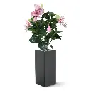 Medinella deluxe kunstplant 100cm