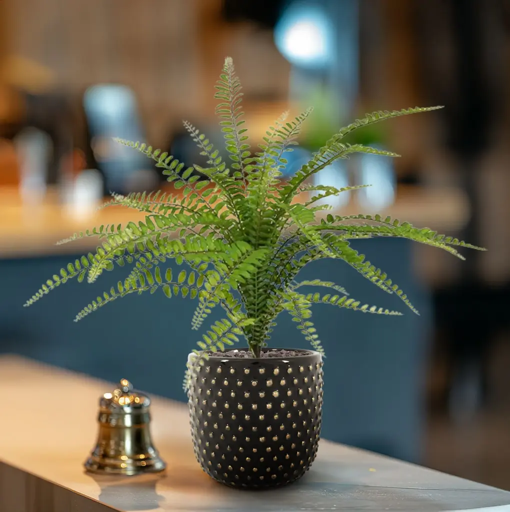 Asplenium Varen kunstplant 45cm