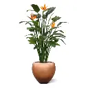Strelitzia Deluxe kunstplant 145 cm