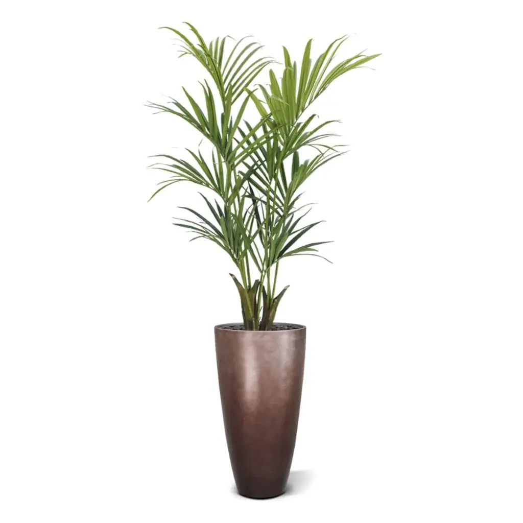 Kentia deluxe kunstpalm 165cm