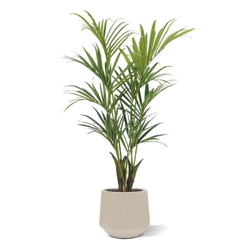 Kentia deluxe kunstpalm 165cm