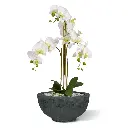 Phalaenopsis kunst Orchidee 75cm wit