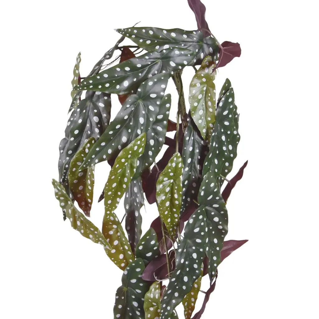 Begonia Maculata kunst hangplant 80cm