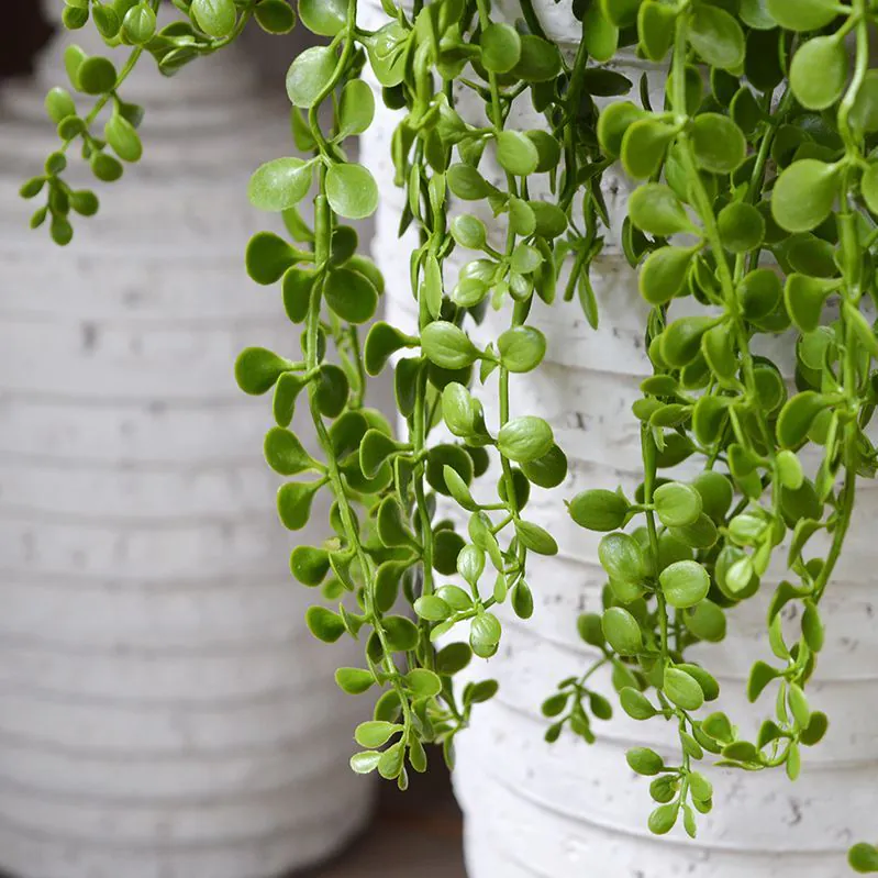 Dischidia kunst hangplant 40cm - UV bestendig