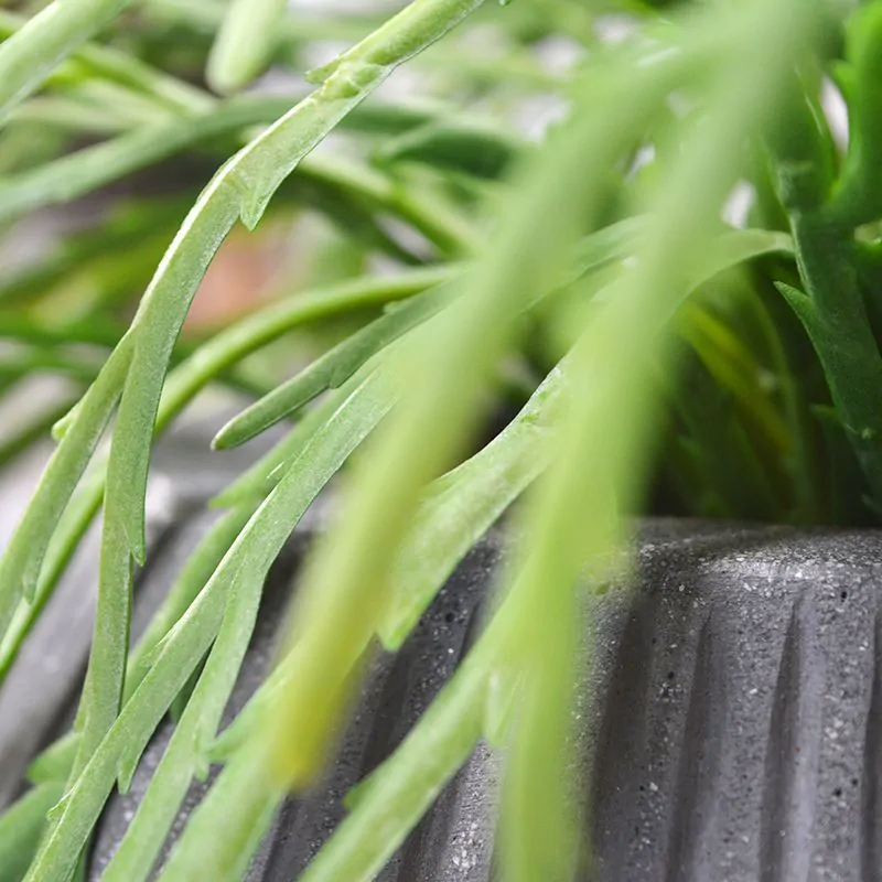 Rhipsalis Lepismium kunstplant 30cm