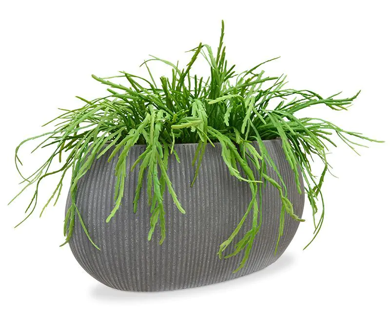 Rhipsalis Lepismium kunstplant 30cm