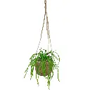 Rhipsalis Lepismium kunstplant 30cm
