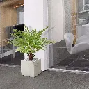 Bosvaren kunstplant 80cm