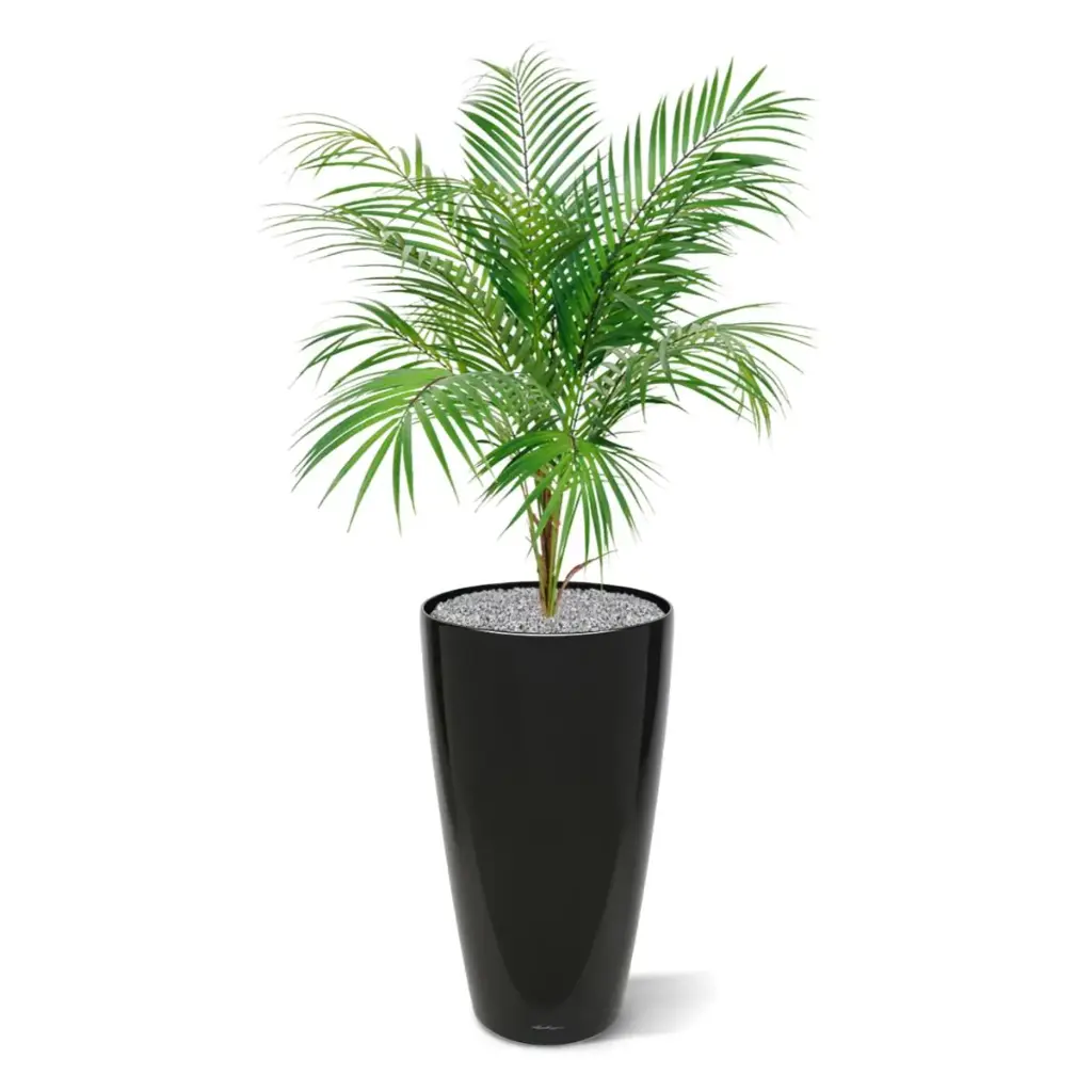 Areca kunstpalm 80cm 