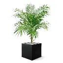 Areca kunstpalm 80cm 