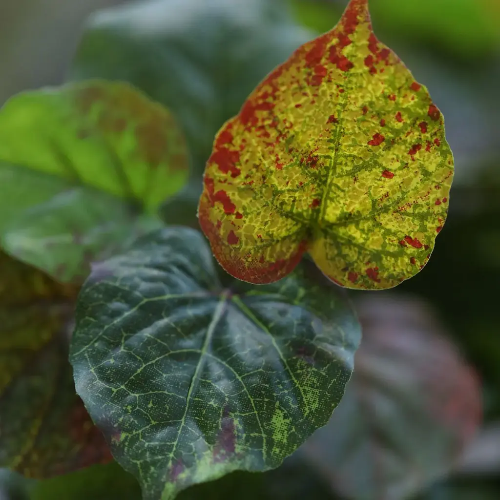 Herfstpopulier 140 2.webp
