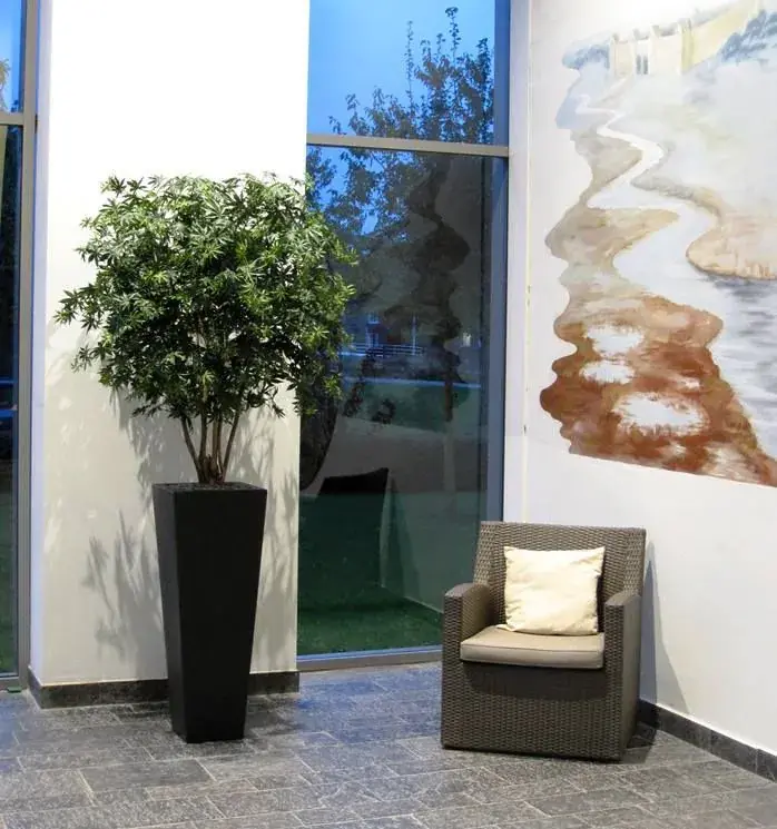 Acer maple 165 2.webp