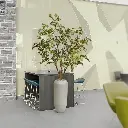 Acer kunstboom 280 4.webp
