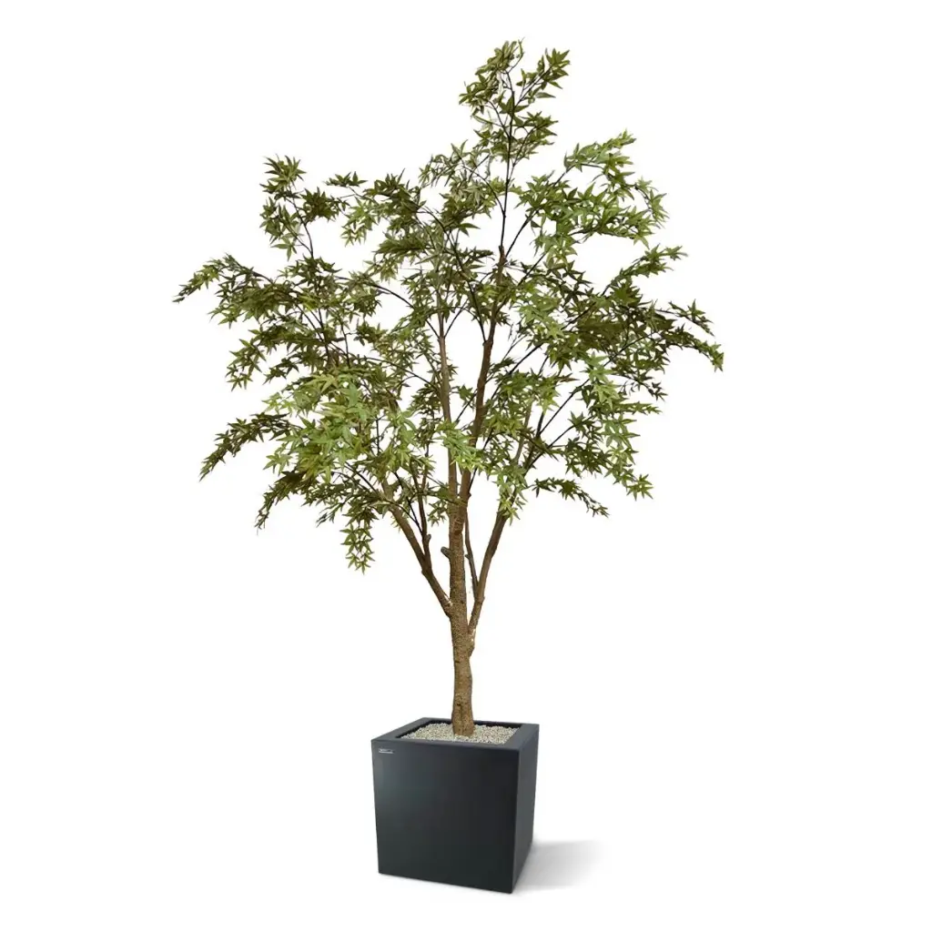 Acer kunstboom 280 5.webp