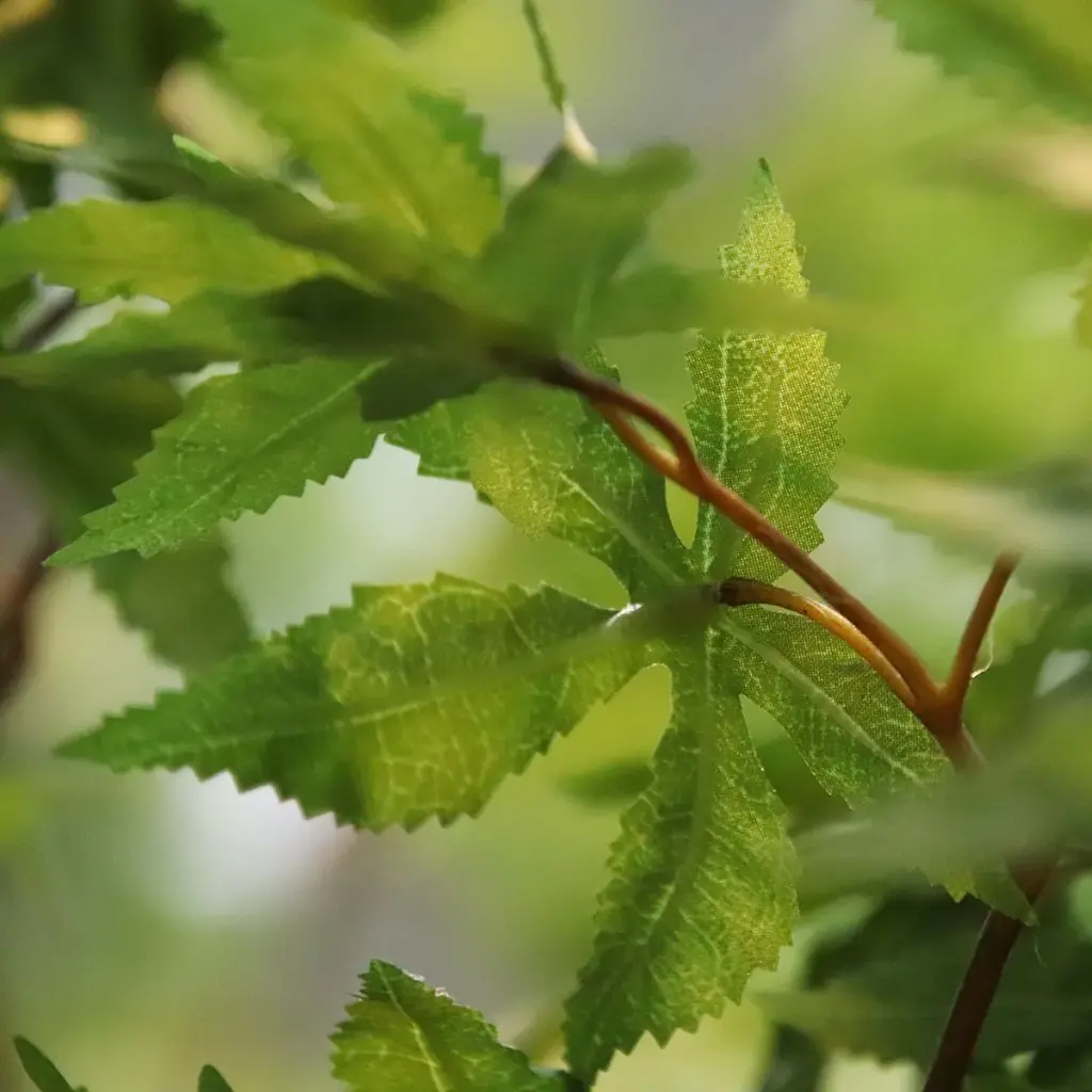 Acer kunstboom 280 3.webp