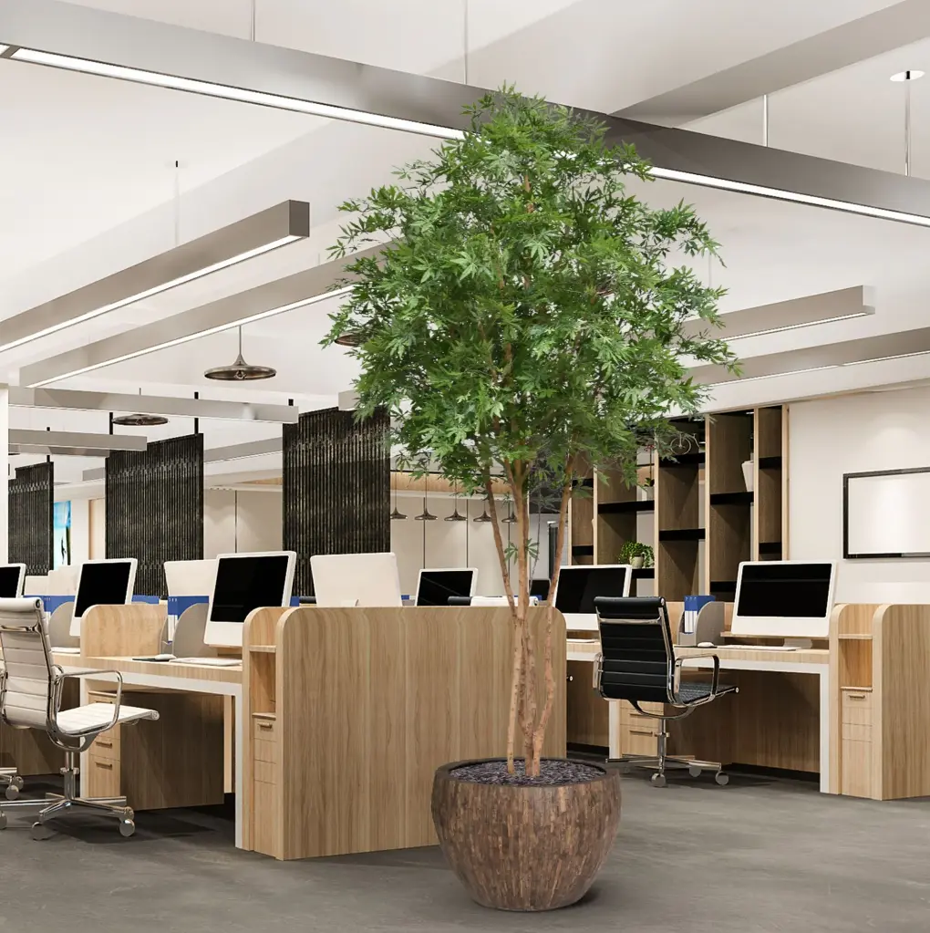 Acer boom 325 5.webp