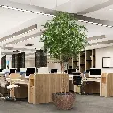 Acer boom 325 5.webp