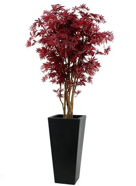 acer_burgundy_160 3.webp