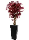 acer_burgundy_160 3.webp