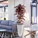 Acer_145_burgundy_2.webp