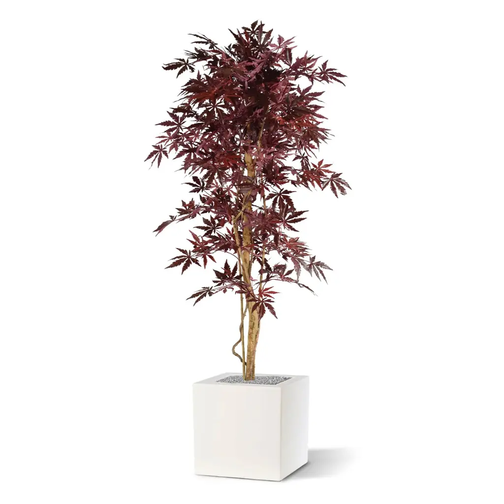 Acer_145_burgundy_3.webp