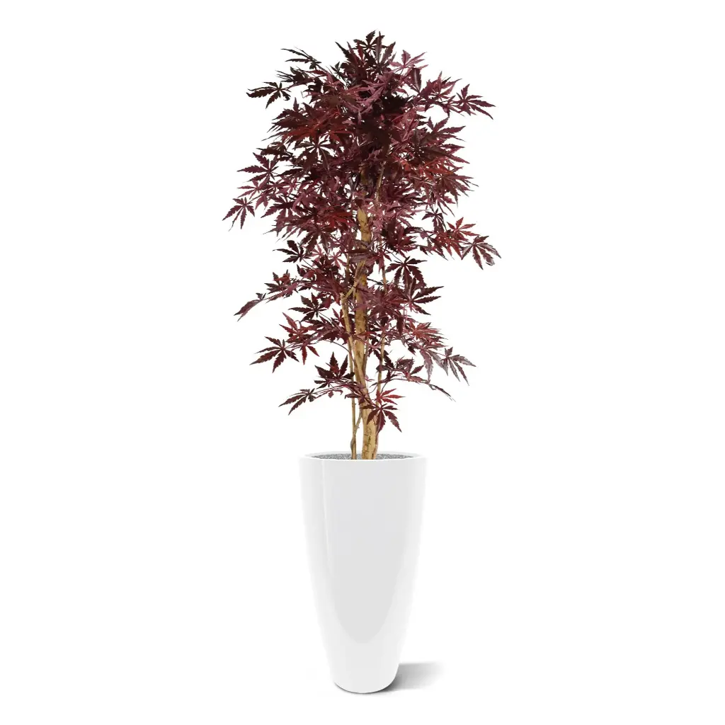 Acer_145_burgundy_4.webp