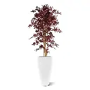 Acer_145_burgundy_4.webp