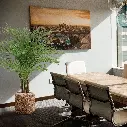 Areca deluxe 150 4.webp