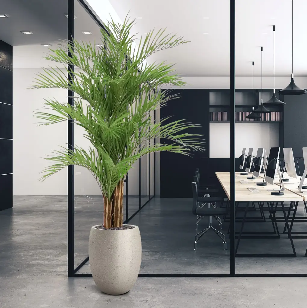 Areca deluxe 210 4.webp