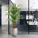 Areca deluxe 210 4.webp