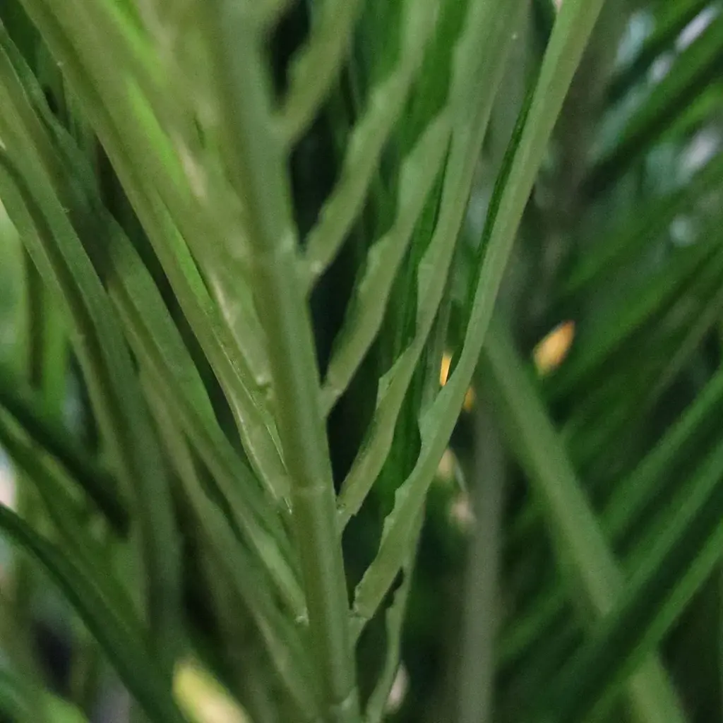 Areca deluxe 210 2.webp