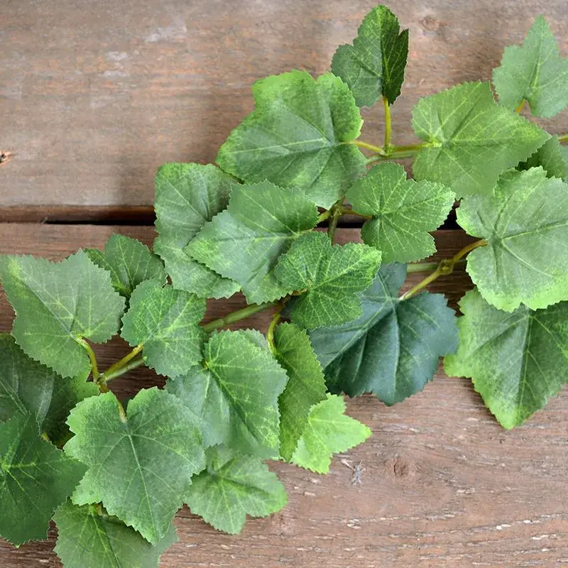 300818_druiven_guirlande_180_groen_close-up_3_1_3.webp