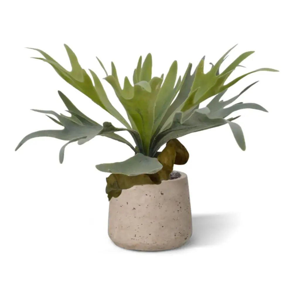 Hertshoorn 4.webp