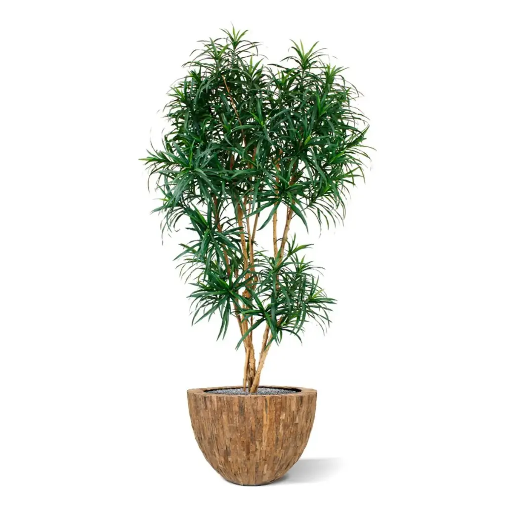 draceana_reflexa_xl_190_cm_groen_kunstboom_153019_3_4.webp