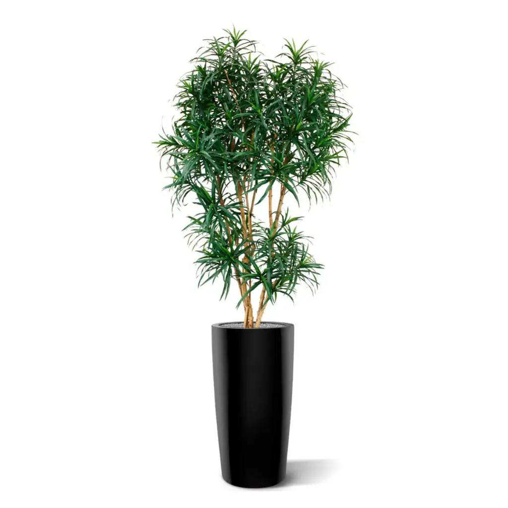 draceana_reflexa_xl_190_cm_groen_kunstboom_153019_2_4.webp